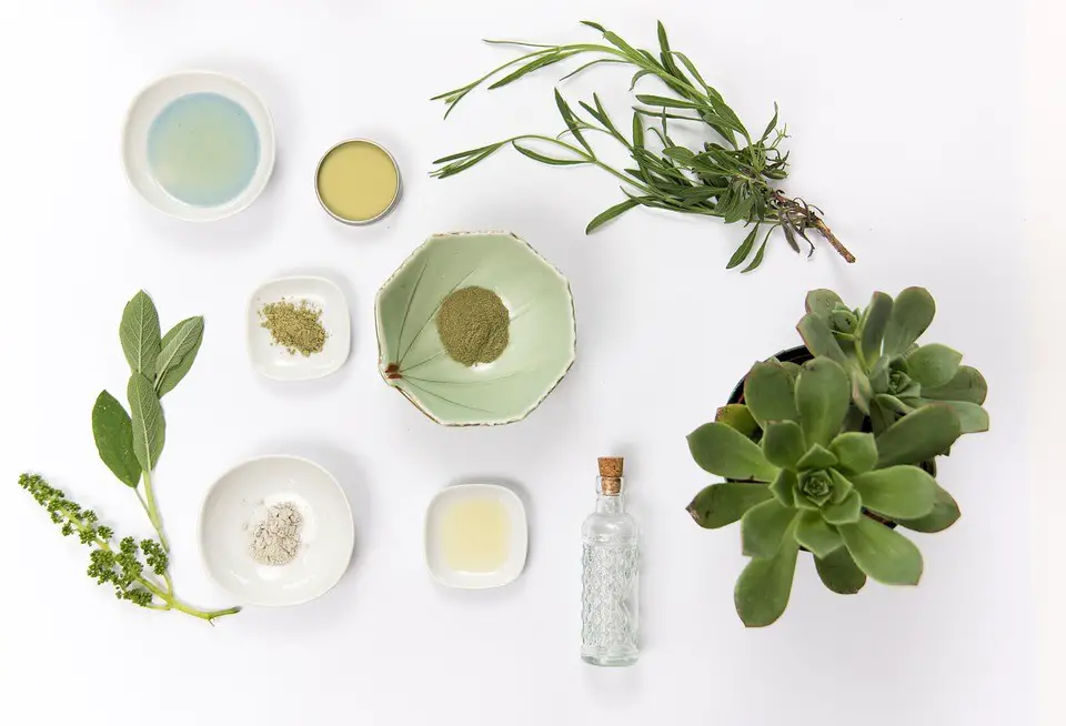 How to get Free Lotion Samples 2020 free lotion samples