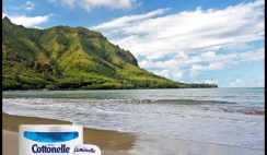 Cottonelle’s Traveling Bum Personality Sweepstakes