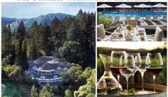 Williams-Sonoma’s Ultimate Week in the Wine Country Sweepstakes