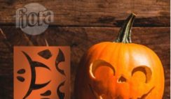 Free Pumpkin Carving Kit from Fiora