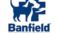 Free Pet Exam & Consultation at Banfield Pet Hospital