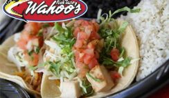 Free Taco from Wahoo
