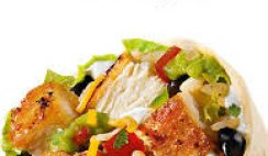 Free Burrito from Moe's