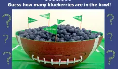 Win a $500 Visa Gift Card or 1 of 4 $250 Visa Gift Cards From Blueberries From Chile - ends 1/31 @12pm PST