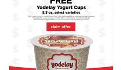 FREE Yodelay Yogurt Cups at Cub Stores - Today Only!