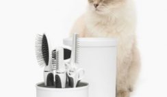 FREE Catit Shorthair or Longhair Grooming Kits for Cats 