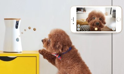 FREE Furbo Dog Camera for Healthcare Workers 2020