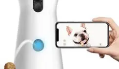 FREE Furbo Dog Camera for Healthcare Workers 2020