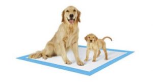 free potty training pads