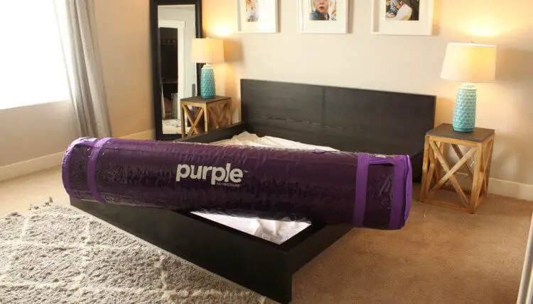 purple