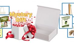 Win 1 of 10 Eco Friendly Prize Bundles from Bee Eco Friendly ($500+ Value)  - ends 7/31