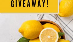 Win 1 of 3 $100 Visa Gift Cards from Lemons of Chile - ends 7/20