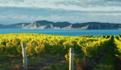 Win 1 of 24 Planeta Sicilian Culinary Prize Bundles Including $200 Gift Card - Enter Daily - TEXT ENTRY - ends 10/15 - 