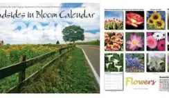 FREE 2021 Roadsides in Bloom Calendar