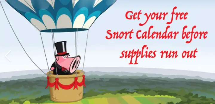 FREE 2021 SNORT Calendar From Cisco - Freebies Frenzy