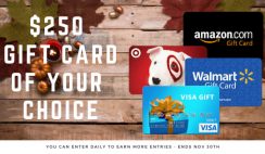 Win a $250 Gift Card of Your Choice - Daily Entry -  ends 11/30