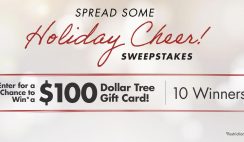 Win 1 of 10 $100 Dollar Tree Gift Cards - ends 12/5