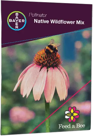 FREE Wildflower Seed Packets from #FeedABee feedabee