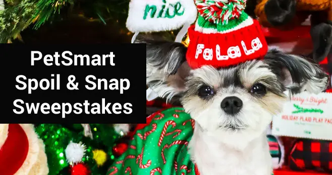 Win $50K in PetSmart's Spoil and Snap Sweeps 2020 (13,801 Prizes!) - Daily Entry - ends 12/24 Spoil and Snap Sweeps 2020