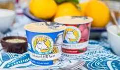 FREE Redwood Hill Goat Milk Yogurt