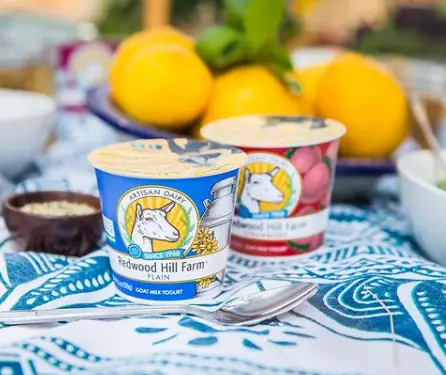 Goat Milk Yogurt