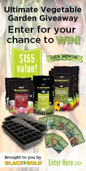 Win the Black Gold Garden Giveaway Black Gold Garden Giveaway