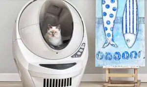 Win a Litter Robot Sunday Funday Giveaway Litter Robot Sunday Funday Giveaway