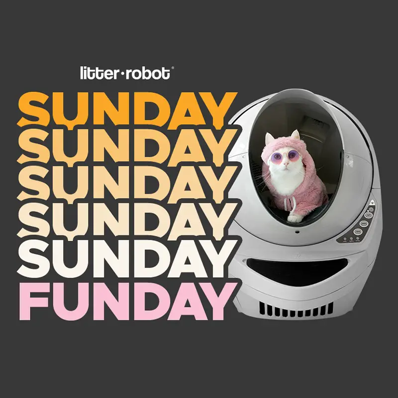Win a Litter Robot Sunday Funday Giveaway Litter Robot Sunday Funday Giveaway