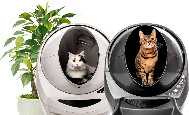 litter robot keeps getting stuck