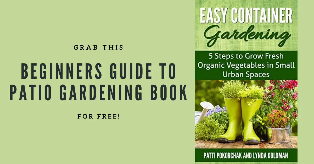 FREE Beginners Guide To Patio Gardening Book