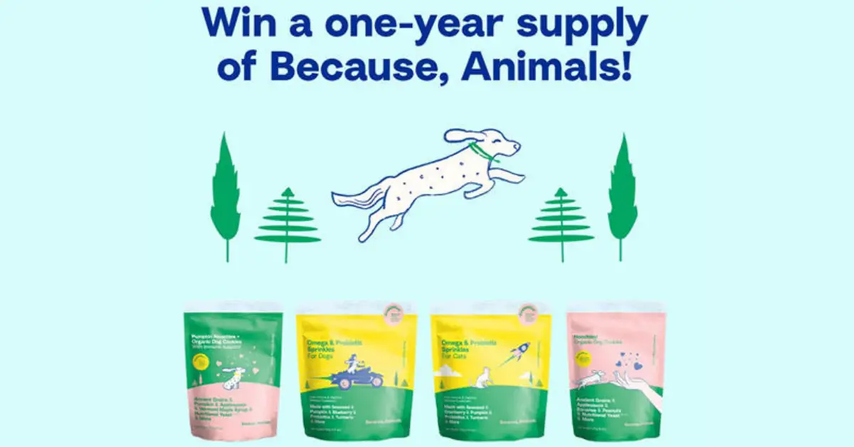 Because Animals Giveaway