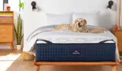 DreamCloud Mattress Giveaway