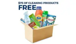 FREE Cleaning Products