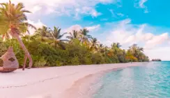 Hawaiian Vacation Giveaway