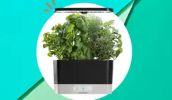 Hydroponic Indoor Herb Garden Giveaway