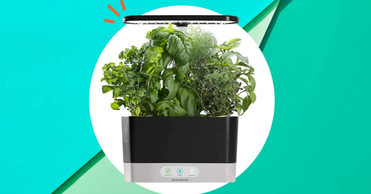 Hydroponic Indoor Herb Garden Giveaway