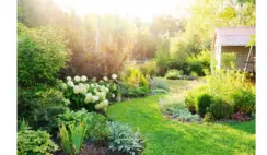 Garden Design Giveaway