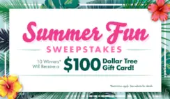 Dollar Tree Summer Fun Sweepstakes