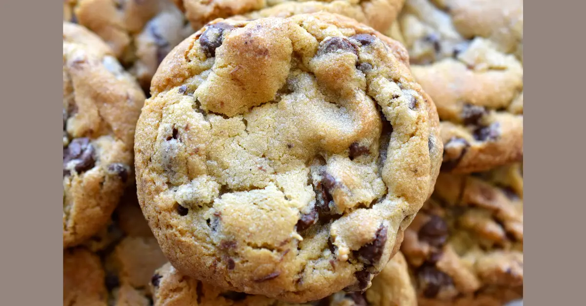 FREE Great American Chocolate Chip Cookie