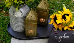 Picnic Sweepstakes