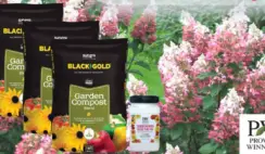 Pinky Winky Garden Giveaway
