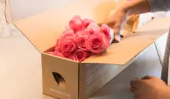 Unlock Your Secret Garden Sweepstakes