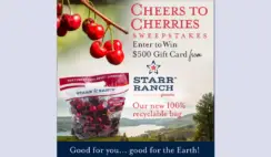 $500 Visa Gift Card Giveaway