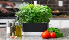 AeroGarden Indoor Herb Garden Giveaway