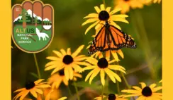 FREE Pollinator Seed Packs