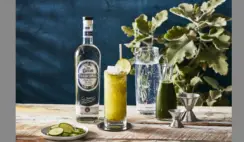 FREE Agave Straws from Jose Cuervo