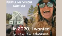 Fulfil My Vision Giveaway