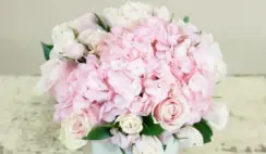 HBO Max Full Bloom Sweepstakes