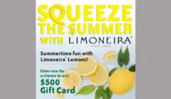 $500 Visa Gift Card Giveaway