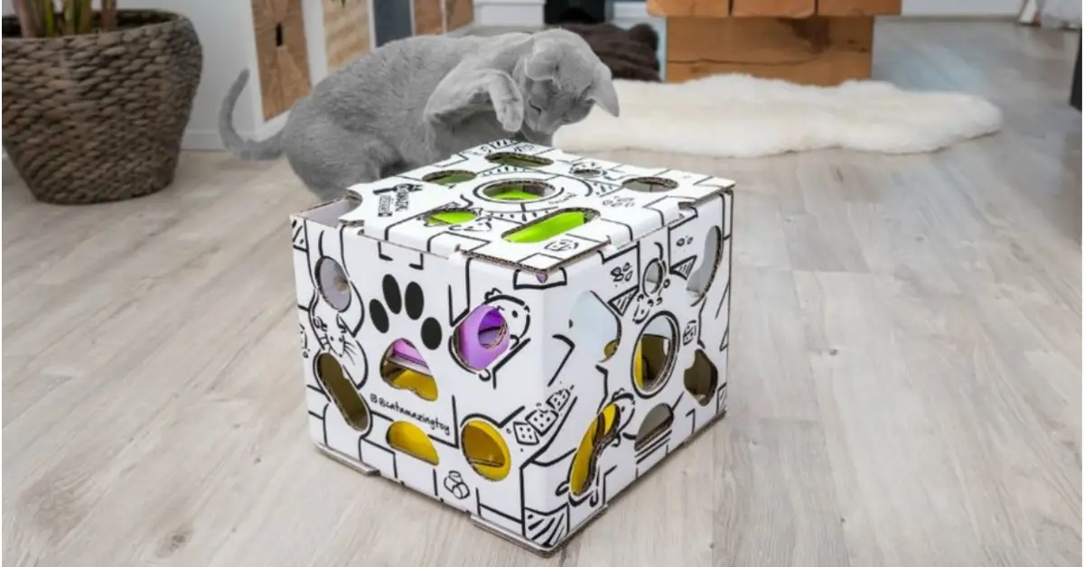 Cat Amazing Puzzle Feeders Giveaway